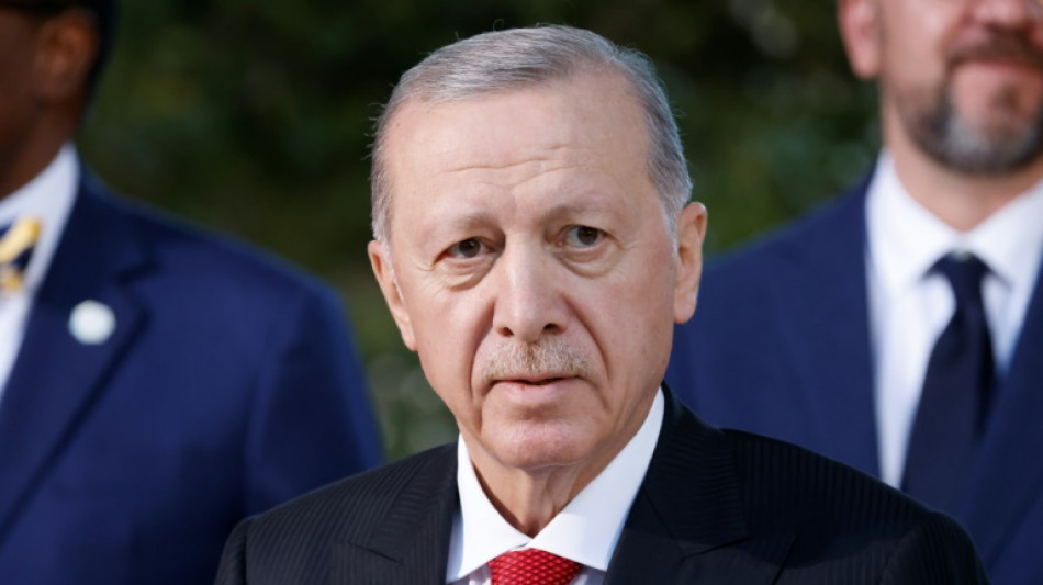 Vor Erdogan bei T&uuml;rkei-Spiel: Kurdische Gemeinde fordert Verbot der Grauen W&ouml;lfe
