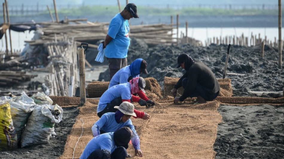  Ca&ntilde;as de bamb&uacute; y conchas contra la crecida del mar en una isla de Filipinas 