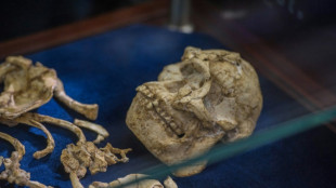 Early human ancestors one million years older than thought