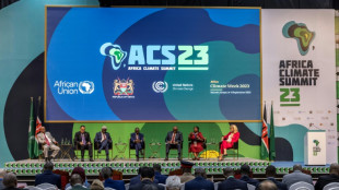 Klima-Beauftragte: Afrika-Gipfel wichtiger Schritt für Erfolg der UN-Klimakonferenz