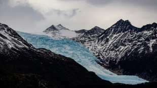 Studie: Hälfte der Gletscher verschwindet bis zum Jahr 2100