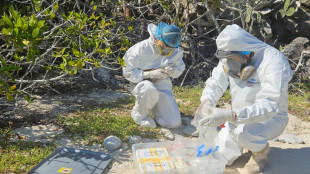 Equador detecta três casos de gripe aviária nas Ilhas Galápagos
