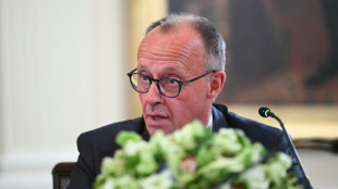 Merz: Ukraine "d&uuml;rfen keine Gebietsabtretungen aufgezwungen werden" 