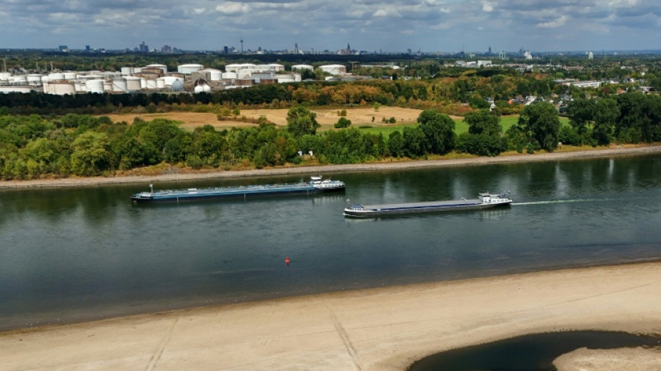  Parts of Germany's Rhine could become unnavigable, group warns 
