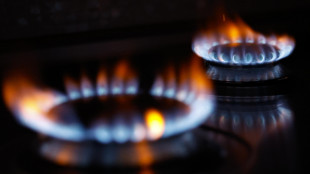 Il gas si conferma in forte calo, -10% sulla piazza di Amsterdam