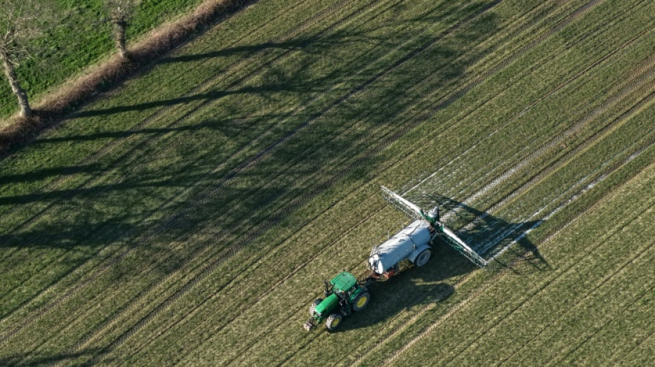  Eau, loup, pesticides... Ce que contient le projet de loi d'urgence agricole 