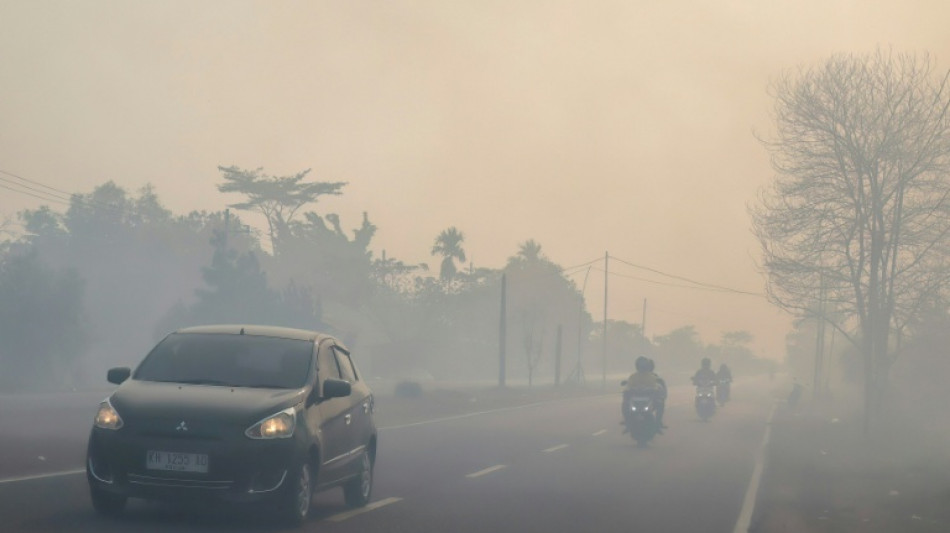  Indonesia deploys hundreds of soldiers to tackle Borneo fires 