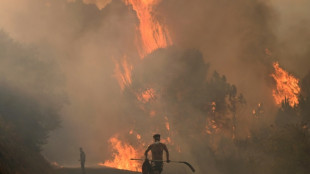Incendies: plus d'un million d'hectares brûlés dans l'UE depuis début 2025, un record