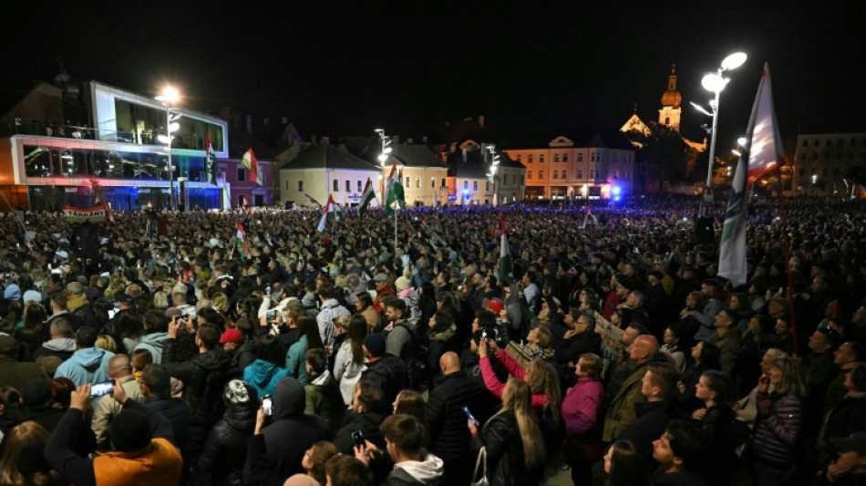  Hongrie : derni&egrave;re ligne droite avant des l&eacute;gislatives marqu&eacute;es par l'espoir et les craintes 