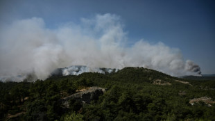 Sigue fuera de control el incendio del parque nacional de Dadi&aacute;, en Grecia