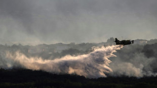 Un incendie mobilise 600 pompiers en Ardèche, la piste criminelle "privilégiée"