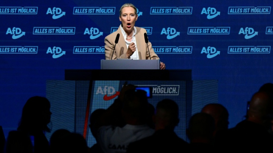  AfD-Chefin Weidel will aus Euro aussteigen und Deutschlands Grenzen "zumachen" 