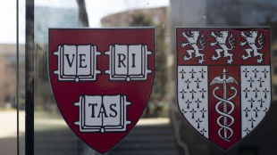 Presidenza Ue, 'caso Harvard sul tavolo dei 27'