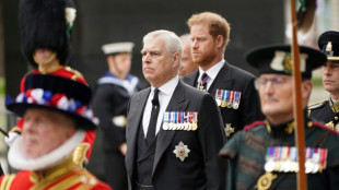 Berichte: König Charles will Harry und Andrew mit Trick als Vertreter ausbremsen