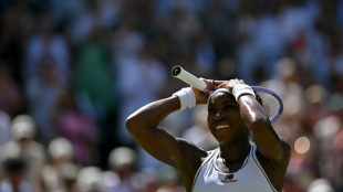 Women's semi-finalists in uncharted territory at Wimbledon