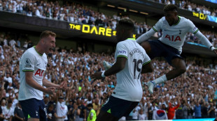 Angleterre: Tottenham et Chelsea r&eacute;pondent pr&eacute;sent, Liverpool au ralenti