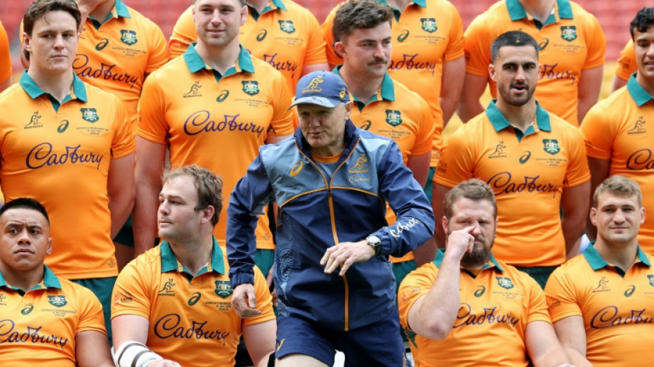 World Rugby boss disappointed in Schmidt questioning player safety push