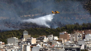 Alto rischio di incendi in Grecia dopo l'ondata di calore
