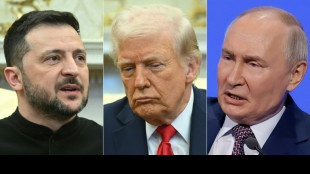 Trump considera viajar &agrave; Turquia para di&aacute;logos entre R&uacute;ssia e Ucr&acirc;nia se Putin participar