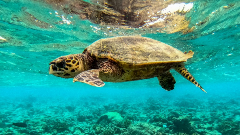 Durch Klimawandel gef&auml;hrdete Inselentwicklungsl&auml;nder beschlie&szlig;en Zehn-Jahres-Plan