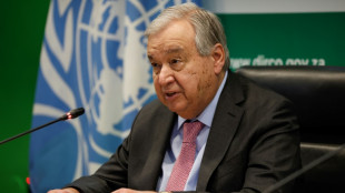 UN-Generalsekret&auml;r Guterres mahnt friedlichen Macht&uuml;bergang in Syrien an
