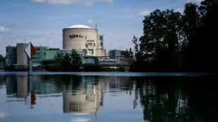 Swiss heading towards referendum on new nuclear plants