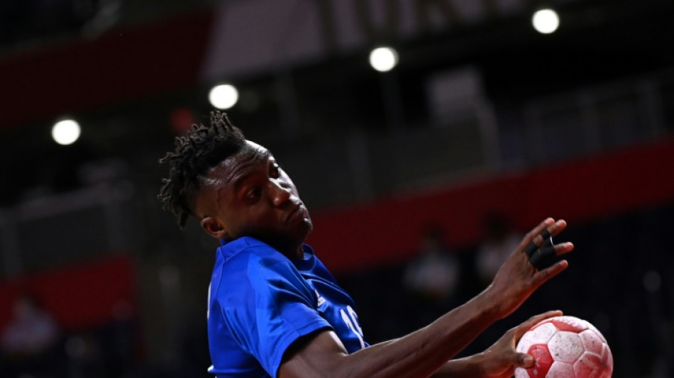 chaussure handball puma luc abalo