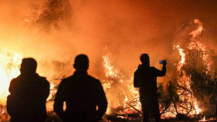 Unglück bei Osterfeuer in Niedersachsen: Frau von umstürzendem Baum getötet
