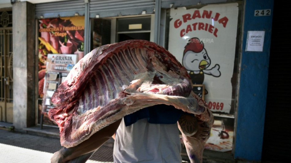  Argentina anuncia un acuerdo con Jap&oacute;n para abrir las exportaciones de carne vacuna 