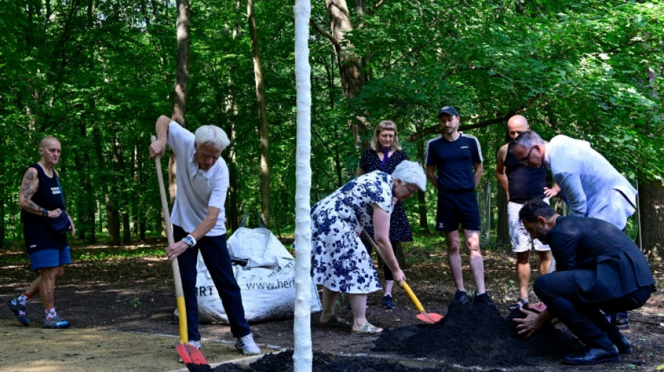  Gedenkort nach CSD-Anschlag: Baum in Berliner Tiergarten herausgerissen 