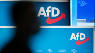 Umfrage: AfD-Wähler häufiger unzufrieden mit dem eigenen Job