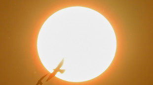 Scheibe eingeschlagen: Polizisten befreien Kind aus überhitztem Auto in Kleve