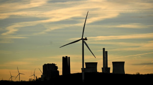 German renewable energy shift slowed in 2025