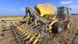 Auflagen für Landwirte: Brüssel setzt Zugeständnisse beim Brachland-Anteil durch