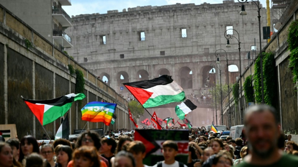 Manifestaciones y huelgas en varias ciudades de Italia para denunciar la ofensiva israel&iacute; en Gaza