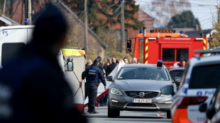 Auto fährt bei Karnevalsfeier in Belgien in Menge - sechs Tote