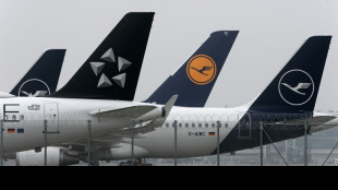 Ampel-Politiker kritisieren Luftfahrt-Branche wegen Flughafen-Chaos
