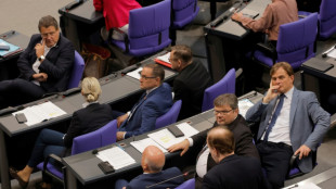 FDP-Politiker Thomae verteidigt Umgang mit AfD in Bundestagsausschüssen