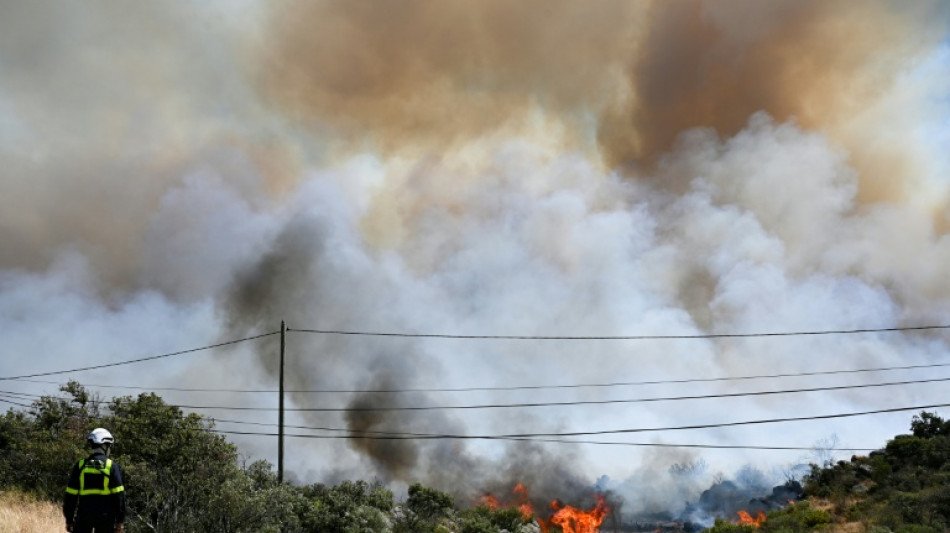  Pyr&eacute;n&eacute;es-Orientales: s&eacute;cheresse de l'air, chaleur et vent, "comme du carburant" pour l'incendie 