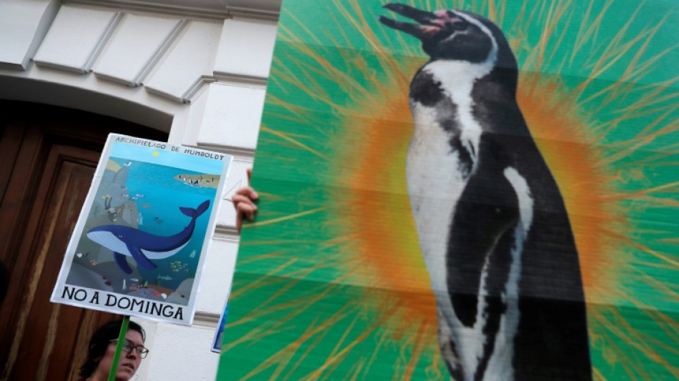 Chilenische Regierung stoppt umstrittenes Bergbauprojekt aus Umweltgr&uuml;nden