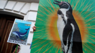 Chilenische Regierung stoppt umstrittenes Bergbauprojekt aus Umweltgr&uuml;nden