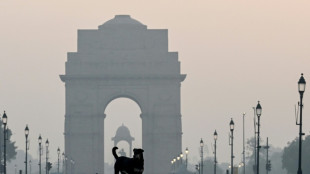 Indian top court orders roundup of stray dogs in Delhi