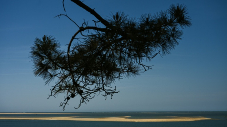  Au large de la dune du Pilat, un "joyau" de biodiversit&eacute; en p&eacute;ril 