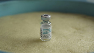 Pandemic agreement: key points