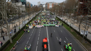 Espagne: nouvelle manifestation d'agriculteurs dans le centre de Madrid