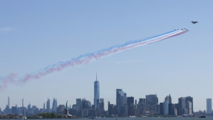 La Patrouille de France survole la Statue de la Libert&eacute; &agrave; New York
