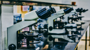 In Italia quasi 2,5 miliardi in 7 anni per ricerca contro cancro