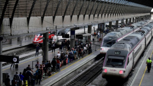 Spain, Portugal rule out cyberattack for massive blackout