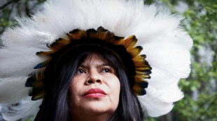 Indígenas y activistas brasileños piden a la UE que proteja la región del Cerrado