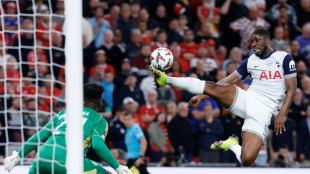 Ligue Europa: Tottenham domine Manchester United en finale et brise sa mal&eacute;diction